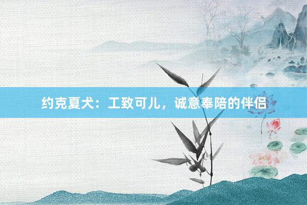 约克夏犬：工致可儿，诚意奉陪的伴侣