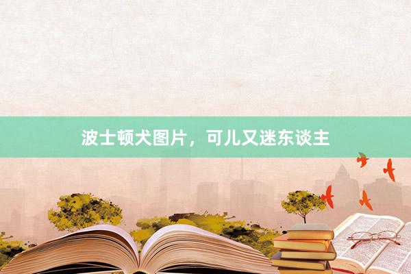 波士顿犬图片，可儿又迷东谈主