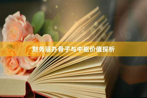 财务惩办骨子与中枢价值探析